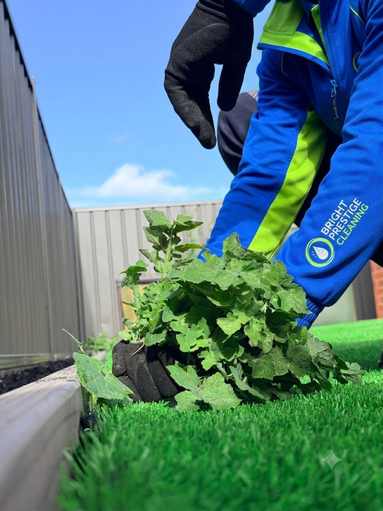 bright prestige cleaning the garden