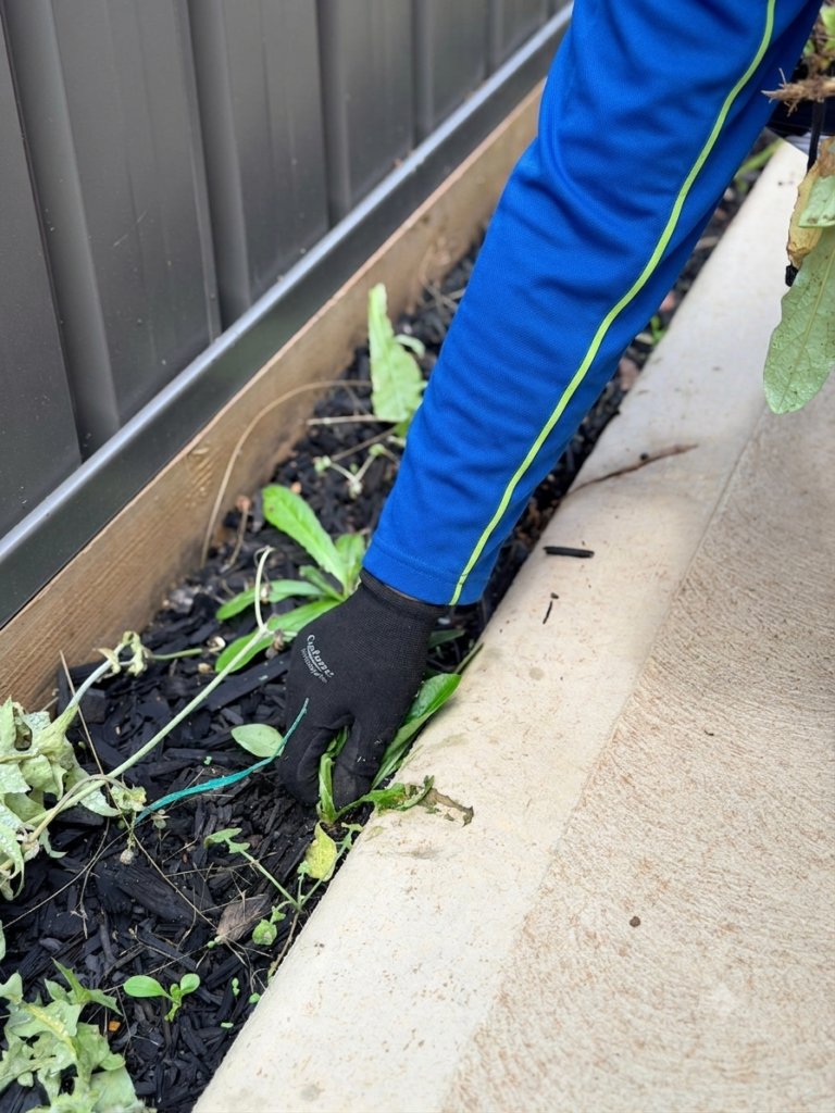 bright prestige garden cleaning